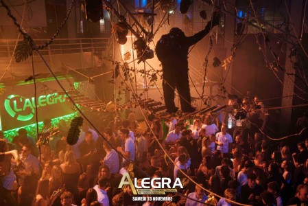 JUNGLE - Samedi 23 Novembre