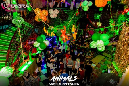 ANIMALS - Samedi 1er Février
